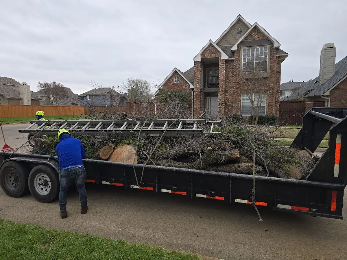 Expert Lot Clearing with proper safety equipment in Broadway